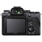 Sony A9 II body (Black)(ILCE-9M2) kaina ir informacija | Skaitmeniniai fotoaparatai | pigu.lt