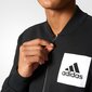 Vyriškas džemperis Adidas ESS Bomber FT kaina ir informacija | Džemperiai vyrams | pigu.lt