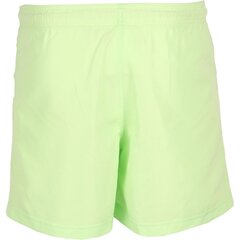 Плавательные шорты Reebok BW Basic Boxer Green цена и информация | Плавки, плавательные шорты | pigu.lt