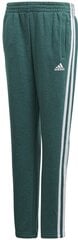 Штаны для подростков Adidas Yb 3s Ft Pant Green цена и информация | Спортивные штаны для мальчиков | pigu.lt