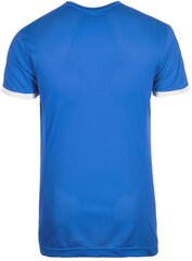 Marškinėliai Puma Pitch Shortsleeved Shirt kaina ir informacija | Marškinėliai berniukams | pigu.lt