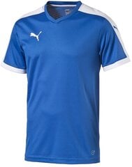 Marškinėliai Puma Pitch Shortsleeved Shirt kaina ir informacija | Marškinėliai berniukams | pigu.lt