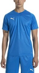 Футбольная майка Puma Liga Jersey Core Blue цена и информация | Мужские футболки | pigu.lt