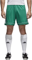 Adidas Футбольные шорты Squad 17 Shorts Green цена и информация | Мужские шорты | pigu.lt