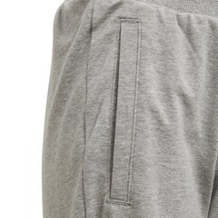 Штаны для подростков Adidas Yg Taperes Pants Grey цена и информация | Брюки для девочки, бирюзовые | pigu.lt