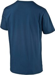 Puma Футболка Power Block Dry Tee Blue цена и информация | Футболка мужская | pigu.lt