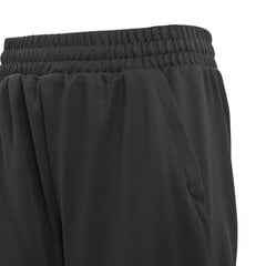 Adidas Штаны для подростков Yb Lightweight Striker Pants Black цена и информация | Спортивные штаны для мальчиков | pigu.lt