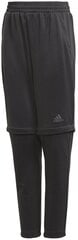 Adidas Штаны для подростков Yb Lightweight Striker Pants Black цена и информация | Спортивные штаны для мальчиков | pigu.lt