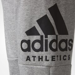 Adidas Штаны для подростков Yb Sid Pants Grey цена и информация | Спортивные штаны для мальчиков | pigu.lt