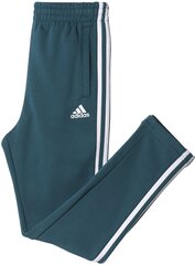 Adidas Штаны для подростков YB 3S FT PANT Green цена и информация | Adidas Одежда, обувь и аксессуары | pigu.lt