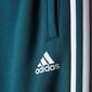 Sportinės kelnės berniukams Adidas YB 3S FT PANT kaina ir informacija | Kelnės berniukams | pigu.lt