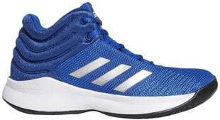 Adidas Обувь для подростков Pro Spark 2018 K Blue цена и информация | Детская спортивная обувь | pigu.lt