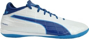 Puma Обувь Evotouch 3 IT White Blue цена и информация | Кроссовки для мужчин | pigu.lt