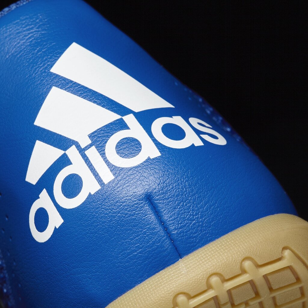 Sportiniai bateliai Adidas ACE 17.4 SALA kaina ir informacija | Kedai vyrams | pigu.lt