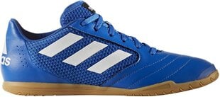 Adidas Обувь ACE 17.4 SALA Blue цена и информация | Кроссовки мужские | pigu.lt