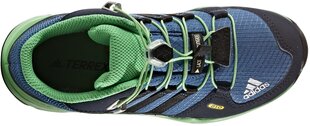 Adidas Детская обувь Terrex Mid Gtx K Blue Green цена и информация | Детские сапоги | pigu.lt