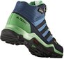 Aulinukai vaikams Adidas Terrex Mid Gtx K цена и информация | Aulinukai vaikams | pigu.lt