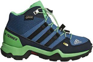 Adidas Детская обувь Terrex Mid Gtx K Blue Green цена и информация | Ботинки детские | pigu.lt