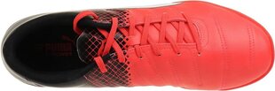 Puma Обувь Evopower 4.3 IT Red Black цена и информация | Мужские ботинки | pigu.lt