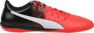 Puma Обувь Evopower 4.3 IT Red Black цена и информация | Мужские ботинки | pigu.lt