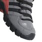 Aulinukai vaikams Adidas Terrex Mid Gtx цена и информация | Aulinukai vaikams | pigu.lt