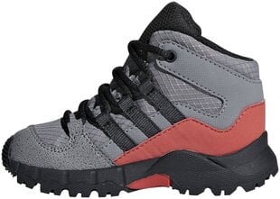 Adidas Детская обувь Terrex Mid Gtx Grey цена и информация | Ботинки детские | pigu.lt