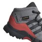 Aulinukai vaikams Adidas Terrex Mid Gtx цена и информация | Aulinukai vaikams | pigu.lt