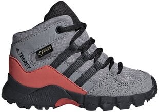 Adidas Детская обувь Terrex Mid Gtx Grey цена и информация | Детские сапоги | pigu.lt