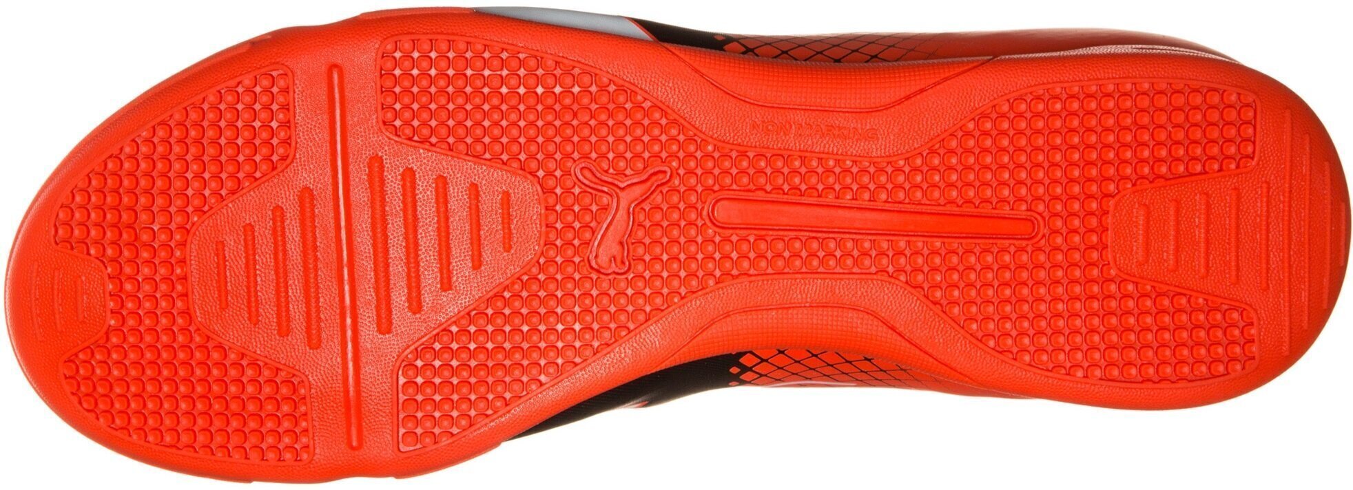 Sportiniai batai vyrams Puma Evospeed 5.5 IT kaina ir informacija | Kedai vyrams | pigu.lt