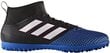 Sportiniai bateliai Adidas ACE 17.3 Primemesh kaina ir informacija | Futbolo bateliai | pigu.lt