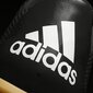 Futbolo bateliai Adidas ACE 17.4 SALA цена и информация | Futbolo bateliai | pigu.lt