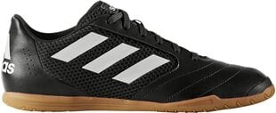 Adidas Обувь ACE 17.4 SALA Black цена и информация | Футбольные бутсы | pigu.lt
