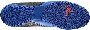 Обувь Adidas ACE 17.4 IN Black Blue цена и информация | Футбольные бутсы | pigu.lt