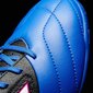 Futbolo bateliai Adidas ACE 17.4 IN kaina ir informacija | Futbolo bateliai | pigu.lt