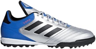 Adidas Обувь Copa Tango 18.3 Silver Blue цена и информация | Мужские ботинки | pigu.lt