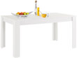 Valgomojo stalas Notio Living Lori 160, baltas цена и информация | Virtuvės ir valgomojo stalai, staliukai | pigu.lt