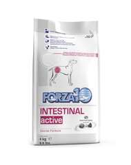 Forza 10 Intestinal Active Diet при проблемах с пищеварением, 4 кг цена и информация | Сухой корм для собак | pigu.lt