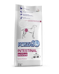 Forza 10 Intestinal Active Nutraceutical virškinimo problemoms, 10 kg kaina ir informacija | Sausas maistas šunims | pigu.lt