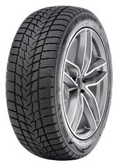 Radar DIMAX ALPINE 235/35R19 91 V XL цена и информация | Зимние шины | pigu.lt