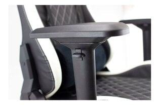 White Shark NITRO-GT Gaming Chair Nitro GT black/white цена и информация | White Shark Фурнитура для мебели | pigu.lt