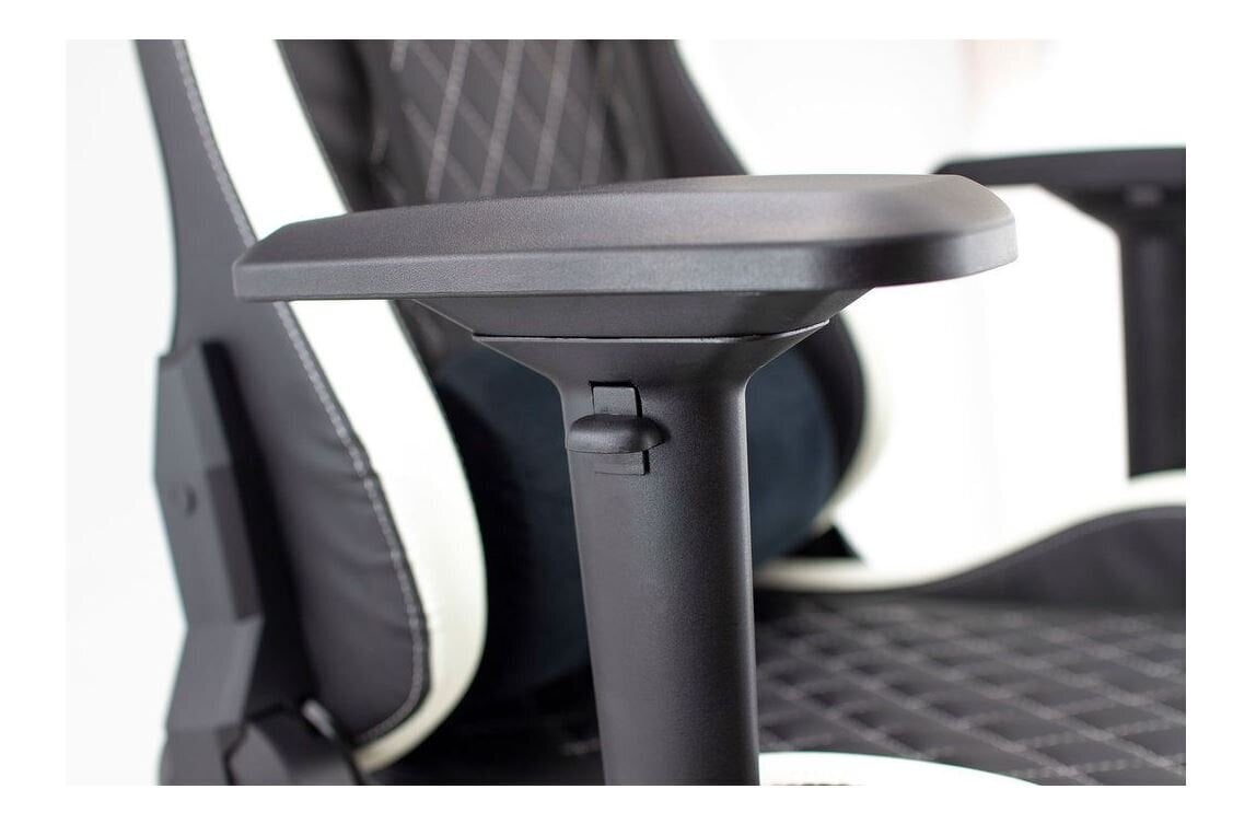 Žaidimų kėdė White Shark Nitro GT Y-2625, juoda/balta цена и информация | Biuro kėdės | pigu.lt