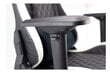 Žaidimų kėdė White Shark Nitro GT Y-2625, juoda/balta kaina ir informacija | Biuro kėdės | pigu.lt