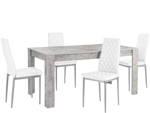 Комплект мебели для столовой Notio Living Lori 160/Barak, светло-серый/белый цена и информация | Комплекты мебели для столовой | pigu.lt