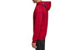 Džemperis vyrams Adidas Tango Sweat Hoody DZ9613, raudonas kaina ir informacija | Džemperiai vyrams | pigu.lt