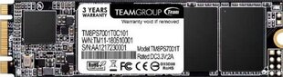 Team Group TM8PS7128G0C101 цена и информация | Внутренние жёсткие диски (HDD, SSD, Hybrid) | pigu.lt