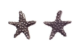 Sidabriniai auskarai "Jūros žvaigždės" kaina ir informacija | Auskarai | pigu.lt