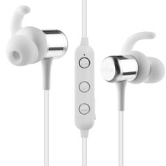 QCY M1C Bluetooth White kaina ir informacija | Ausinės | pigu.lt