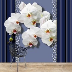 Fototapetai - Orchidėjos mėlyname fone цена и информация | Фотообои | pigu.lt