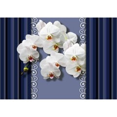 Fototapetai - Orchidėjos mėlyname fone kaina ir informacija | Fototapetai | pigu.lt