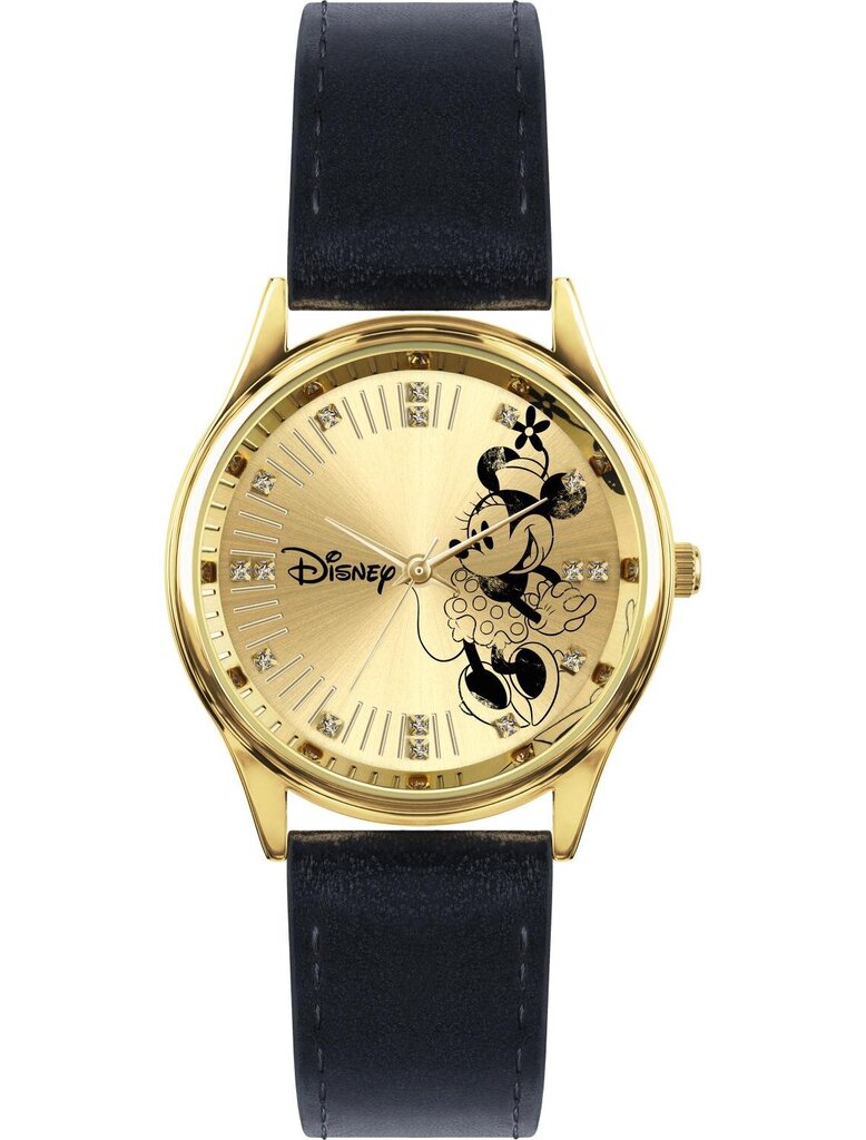 Laikrodis mergaitėms Disney by RFS D219SME цена и информация | Aksesuarai vaikams | pigu.lt